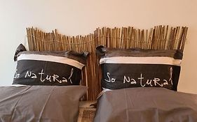 C&C - Cozy And Cute